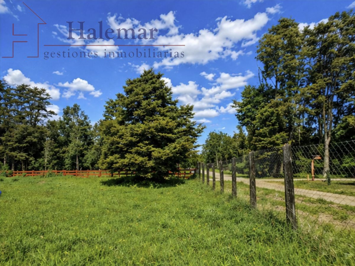 Parcela de 5.000 m² en Frutillar – Entorno Natural, Alta Plusvalía y Excelente Conectividad