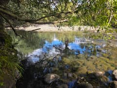 Vendo Casa en exclusivo loteo en los alrededores de Puerto Varas