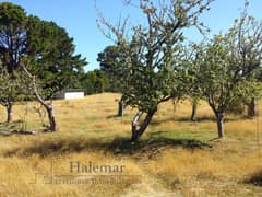 Vendo Terreno exclusivo de 17.600 m² con vista panorámica al mar y volcanes