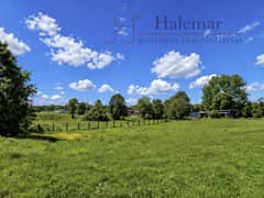 Parcela de 5.000 m² en Frutillar – Entorno Natural, Alta Plusvalía y Excelente Conectividad