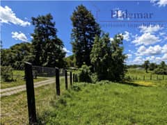 Parcela de 5.000 m² en Frutillar – Entorno Natural, Alta Plusvalía y Excelente Conectividad