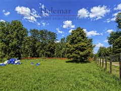 Parcela de 5.000 m² en Frutillar – Entorno Natural, Alta Plusvalía y Excelente Conectividad