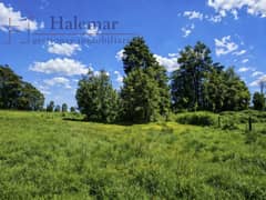 Parcela de 5.000 m² en Frutillar – Entorno Natural, Alta Plusvalía y Excelente Conectividad