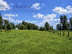 Parcela de 5.000 m² en Frutillar – Entorno Natural, Alta Plusvalía y Excelente Conectividad