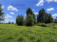Parcela de 5.000 m² en Frutillar – Entorno Natural, Alta Plusvalía y Excelente Conectividad