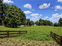 Parcela de 5.000 m² en Frutillar – Entorno Natural, Alta Plusvalía y Excelente Conectividad