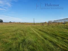 AMPLIO TERRENO DE 14.000 M² EN LONCOTORO