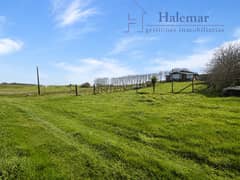 AMPLIO TERRENO DE 14.000 M² EN LONCOTORO