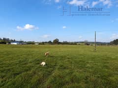 AMPLIO TERRENO DE 14.000 M² EN LONCOTORO