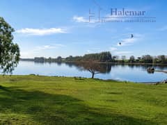 AMPLIO TERRENO DE 14.000 M² EN LONCOTORO