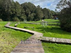 Vendo Parcela 5000 m2 en Parcelación Ríos del Chucao