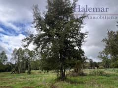 Vendo Parcela 5000 m2 en Parcelación Ríos del Chucao