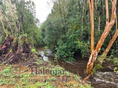 Vendo Parcela 5000 m2 en Parcelación Ríos del Chucao
