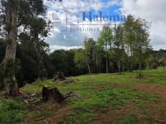 Vendo Parcela 5000 m2 en Parcelación Ríos del Chucao