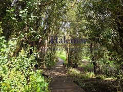 Vendo Parcela 5000 m2 en Parcelación Ríos del Chucao