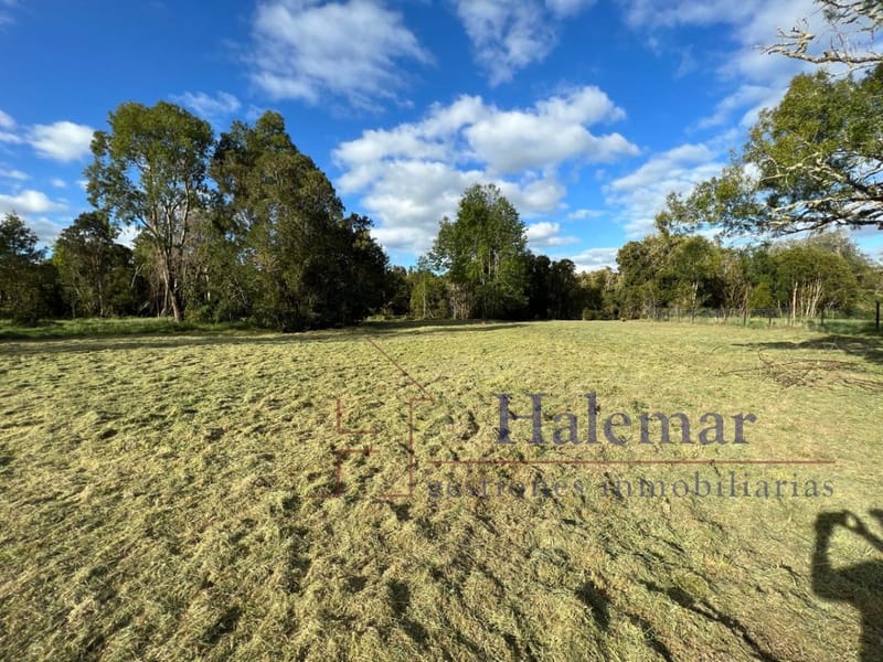 Vendo Parcela 5000 m2 en Parcelación Ríos del Chucao